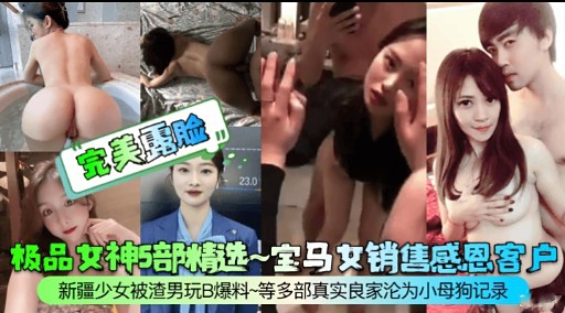 极品女神5部精洗~宝马女销售感恩客户